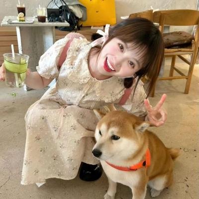 美丽在望粤语